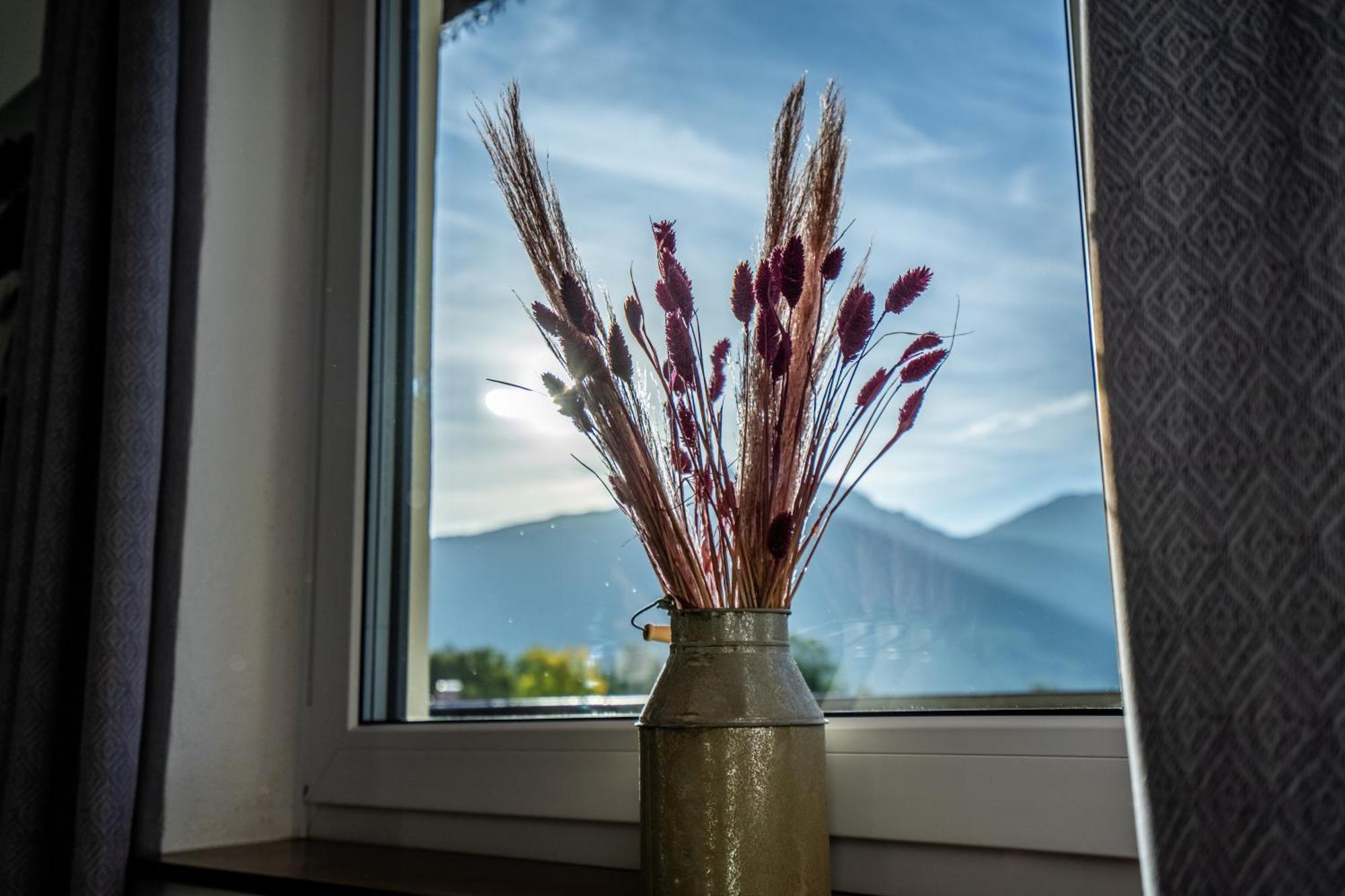 Tiroler Alpblick Appartements Ehrwald Exteriér fotografie